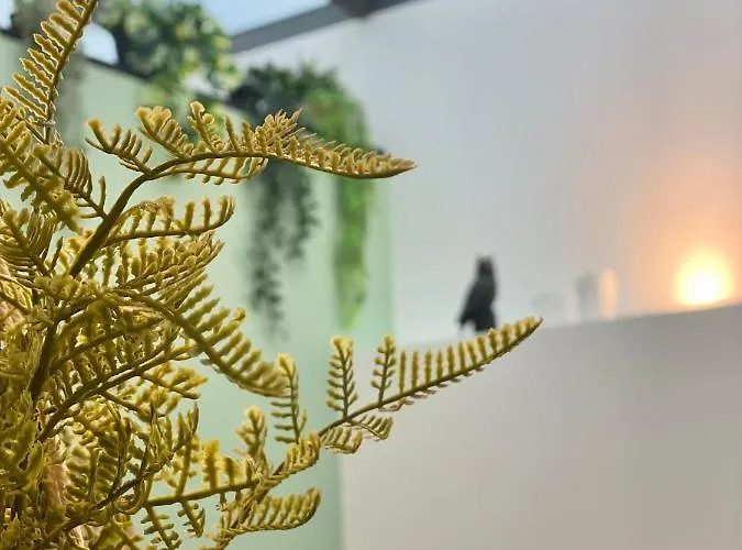 Cite Gastro. / Centre 디종